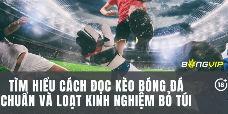 Chia sẻ bí quyết đánh kèo tài xỉu 1.5-2 trái hiệu quả 99%