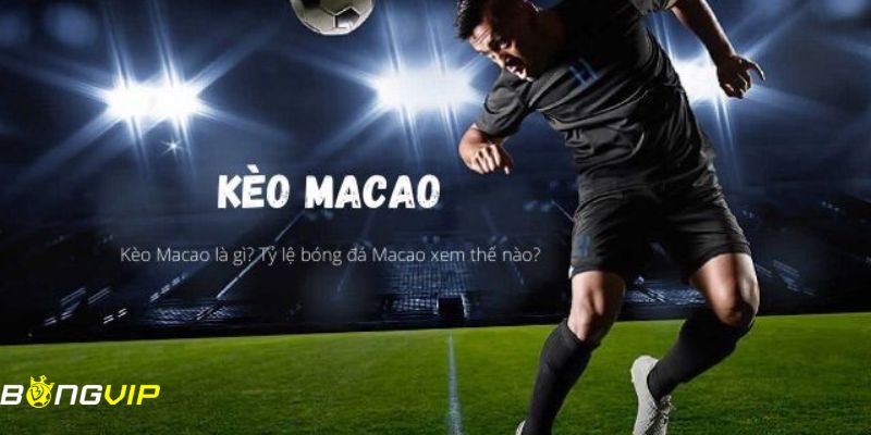 Kèo Macao: Một khái niệm cần biết cho người chơi cá độ